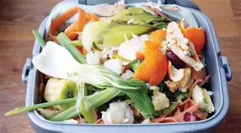 Sisa Makanan Tanpa Minyak